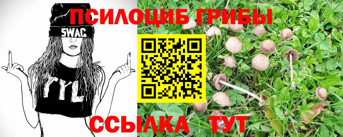 Йошкар-Ола  Галлюциногенные грибы прущие грибы  Вход с VPN  Галлюциногенные грибы Cubensis 